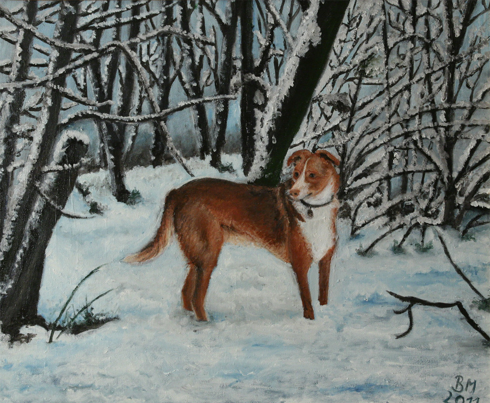 schneehunde