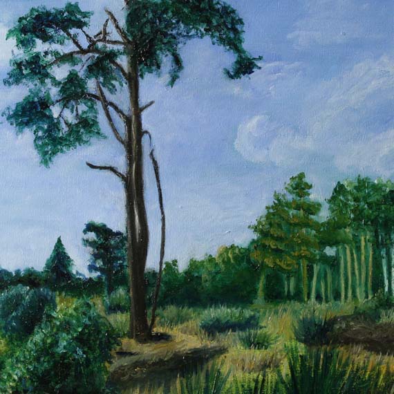 Baum in der Wahner Heide – Öl auf Leinwand