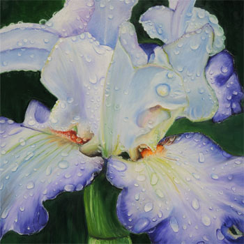 Iris – Öl auf Leinwand