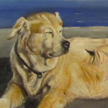 Hund am Meer – Öl auf Leinwand