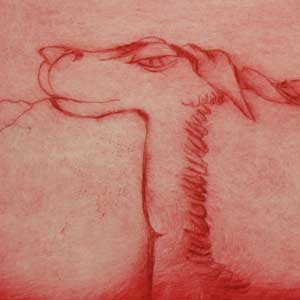 Rheindrache – mit Passepartout 35€