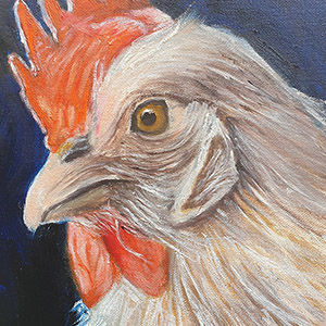 Brahma-Huhn – Öl auf Leinwand
